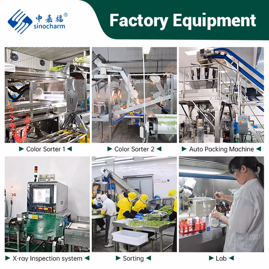 Sinocharm 제조업체는 농장 기반에서 보장되는 포드 살충제에 냉동 요리된 에다마메를 보장합니다